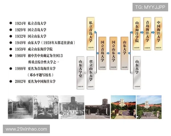 威廉希尔官网的历史沿革与在行业中的地位