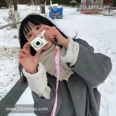 陈晓芸